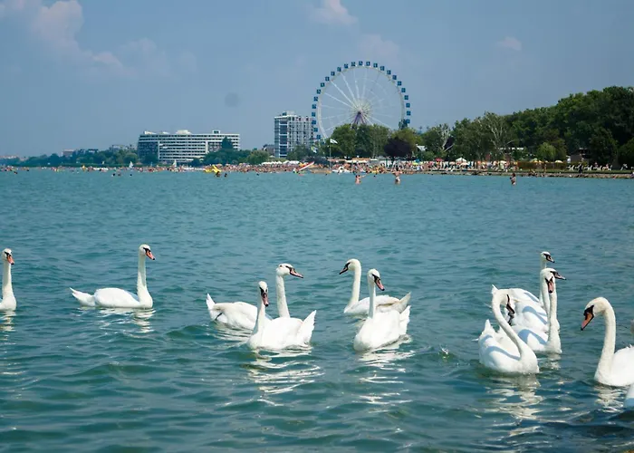 With Pool In Siofok-balaton 54764 Daire