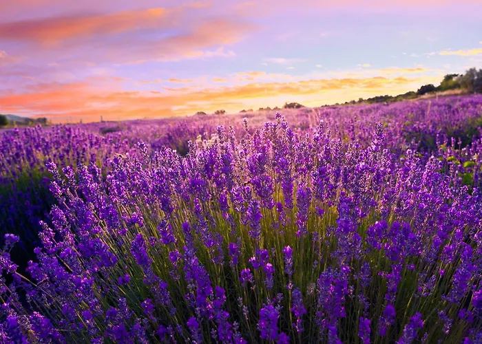 With Pool In Siofok-balaton 54764 Siofok